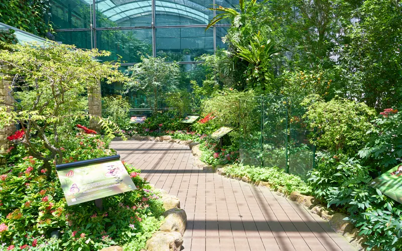 Changi Airports Four Terminals 2