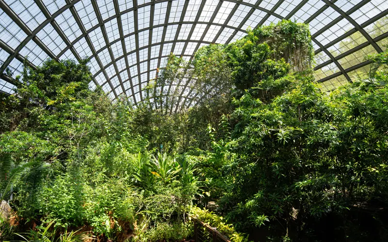 Entopia in Teluk Bahang A Family-Friendly Experience 1