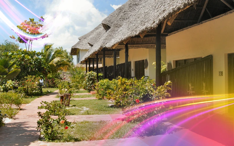 Zanzibar Weather and Seasons at a Glance 1